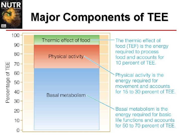 Major Components of TEE 