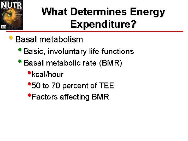 What Determines Energy Expenditure? • Basal metabolism • Basic, involuntary life functions • Basal