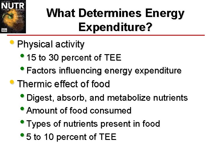 What Determines Energy Expenditure? • Physical activity • 15 to 30 percent of TEE