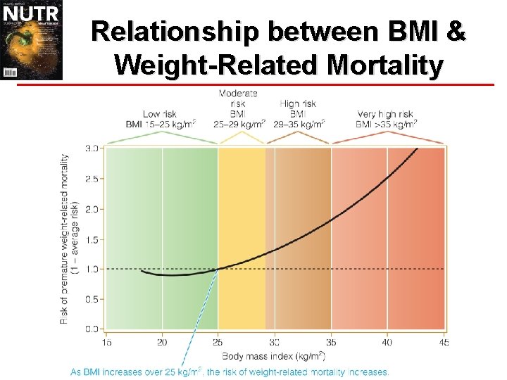 Relationship between BMI & Weight-Related Mortality 