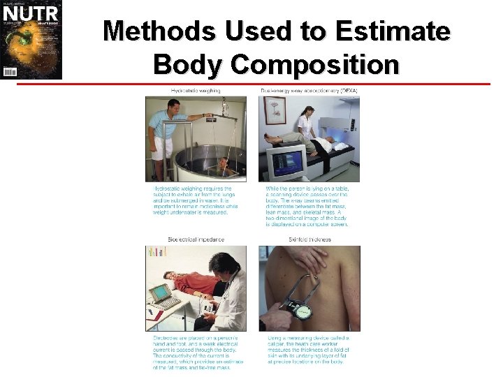Methods Used to Estimate Body Composition 