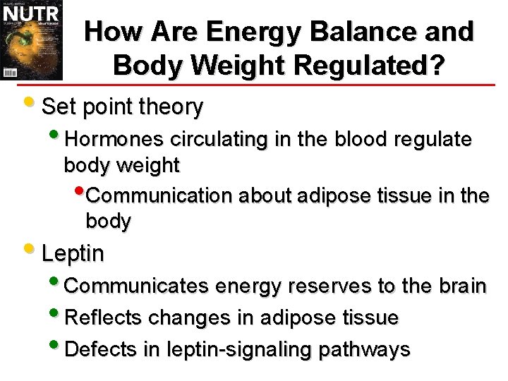 How Are Energy Balance and Body Weight Regulated? • Set point theory • Hormones