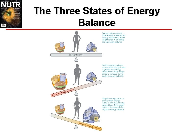 The Three States of Energy Balance 