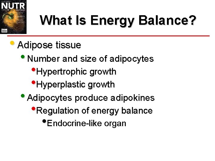 What Is Energy Balance? • Adipose tissue • Number and size of adipocytes •