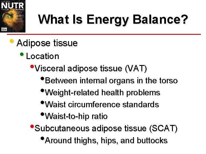 What Is Energy Balance? • Adipose tissue • Location • Visceral adipose tissue (VAT)