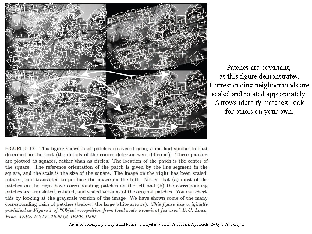 Patches are covariant, as this figure demonstrates. Corresponding neighborhoods are scaled and rotated appropriately.