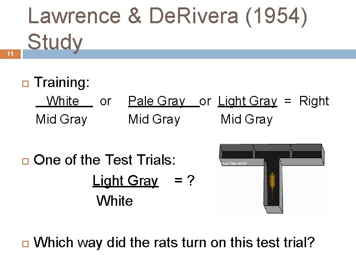 11 Lawrence & De. Rivera (1954) Study Training: White or Mid Gray Pale Gray