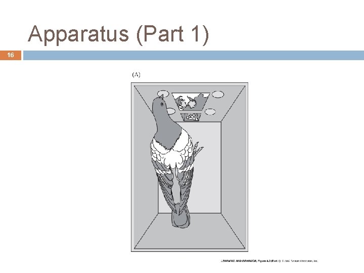 Apparatus (Part 1) 16 