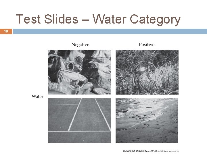 Test Slides – Water Category 18 