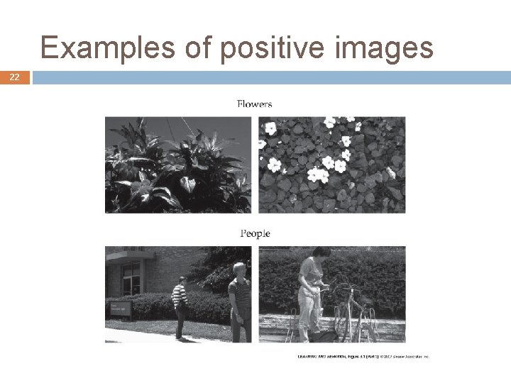 Examples of positive images 22 