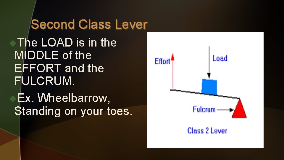 Second Class Lever u. The LOAD is in the MIDDLE of the EFFORT and