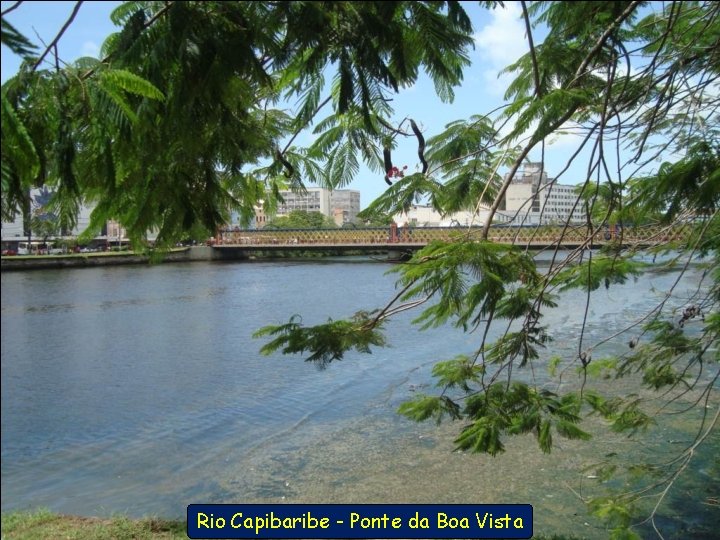 Rio Capibaribe - Ponte da Boa Vista 