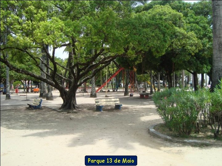 Parque 13 de Maio 