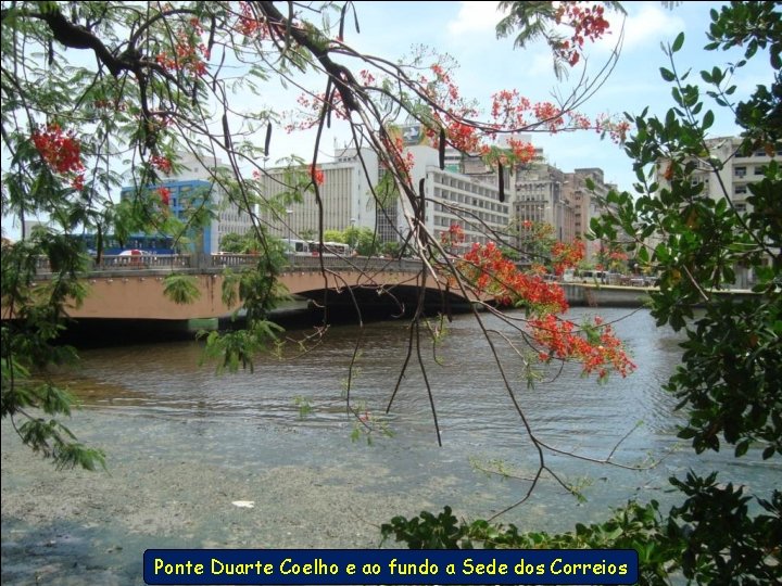 Ponte Duarte Coelho e ao fundo a Sede dos Correios 