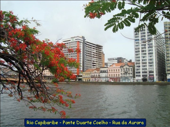 Rio Capibaribe - Ponte Duarte Coelho - Rua da Aurora 