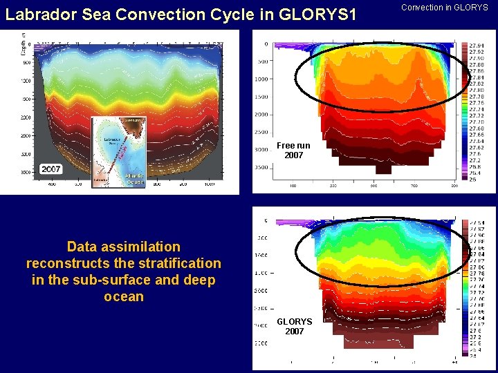 Labrador Sea Convection Cycle in GLORYS 1 Free run 2007 Data assimilation reconstructs the