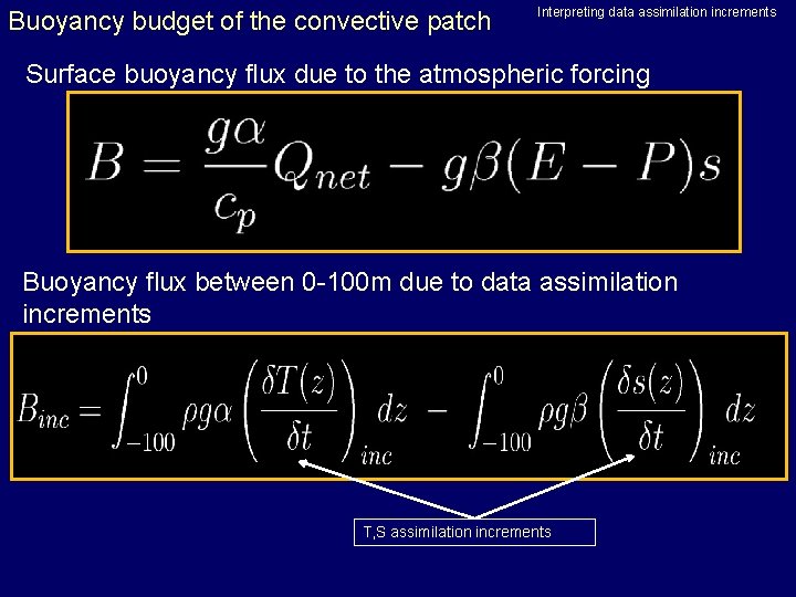 Buoyancy budget of the convective patch Interpreting data assimilation increments Surface buoyancy flux due