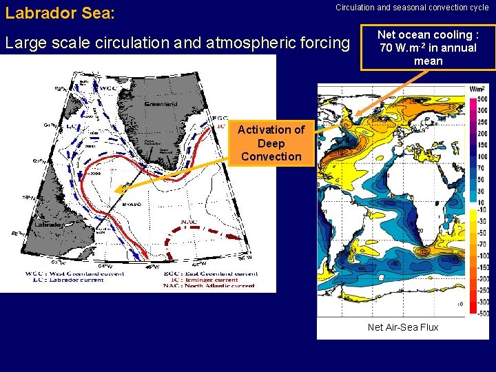 Circulation and seasonal convection cycle Labrador Sea: Large scale circulation and atmospheric forcing Net