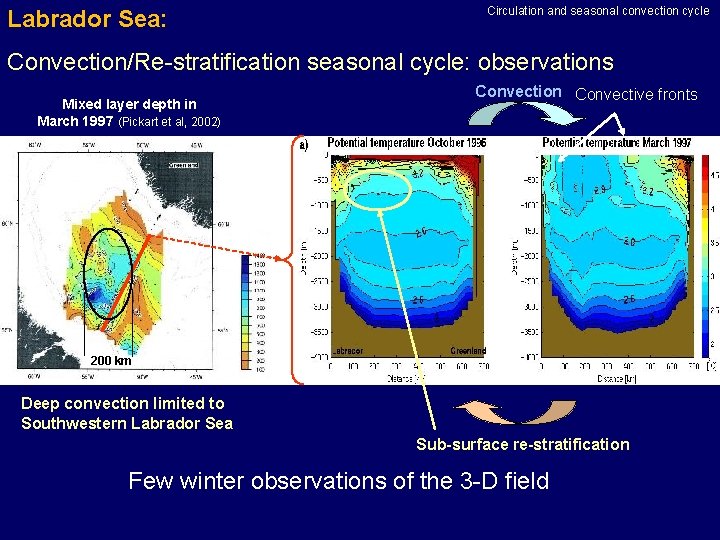 Labrador Sea: Circulation and seasonal convection cycle Convection/Re-stratification seasonal cycle: observations Mixed layer depth