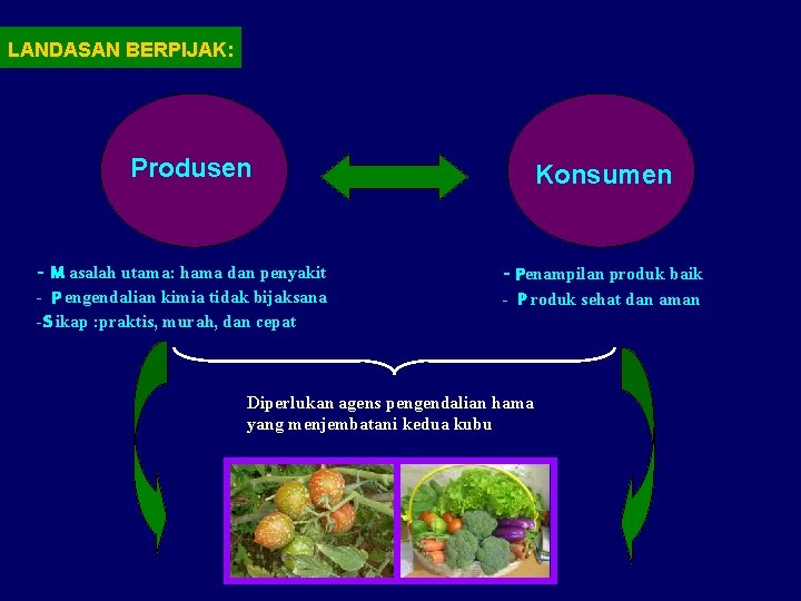 LANDASAN BERPIJAK: Produsen Konsumen - M asalah utama: hama dan penyakit - Penampilan produk