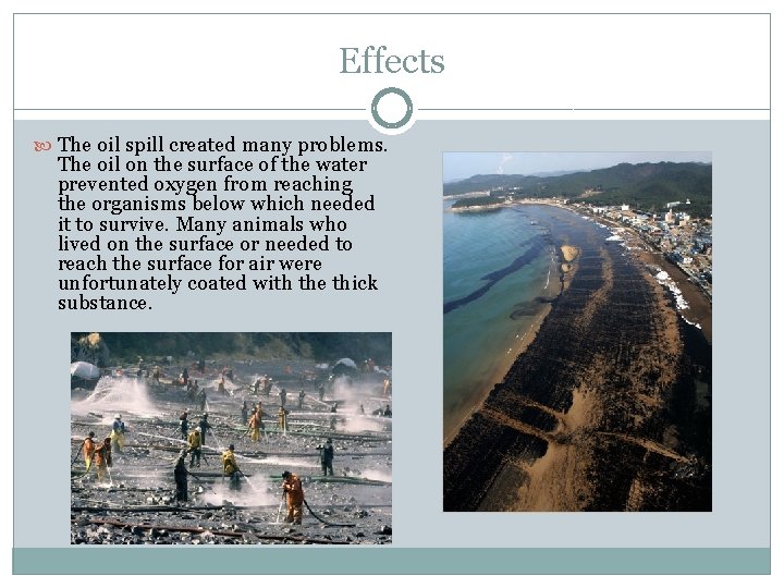 Effects The oil spill created many problems. The oil on the surface of the