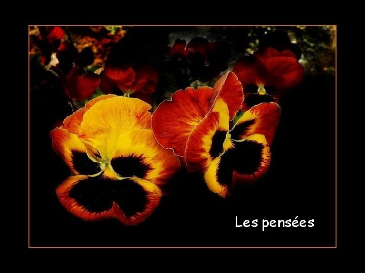 Les pensées 