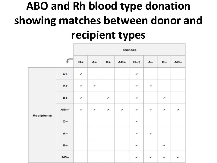 ABO and Rh blood type donation showing matches between donor and recipient types 