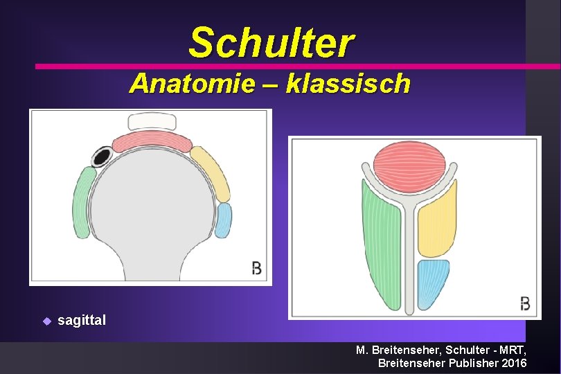Schulter Anatomie – klassisch u sagittal M. Breitenseher, Schulter - MRT, Breitenseher Publisher 2016