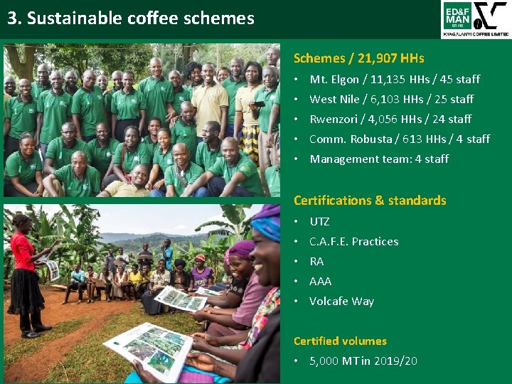 3. Sustainable coffee schemes Background Schemes / 21, 907 HHs • Mt. Elgon /