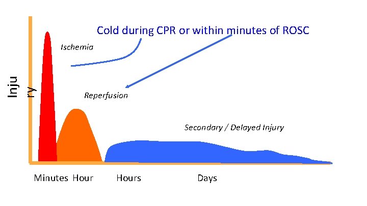 Cold during CPR or within minutes of ROSC Inju ry Ischemia Reperfusion Secondary /