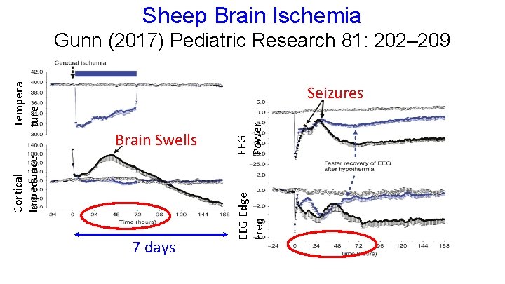 Sheep Brain Ischemia Tempera ture Gunn (2017) Pediatric Research 81: 202– 209 7 days