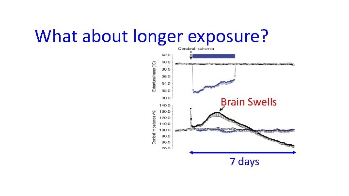 What about longer exposure? Brain Swells 7 days 