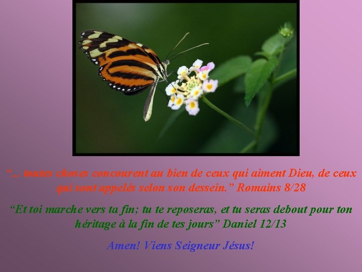 “. . . toutes choses concourent au bien de ceux qui aiment Dieu, de