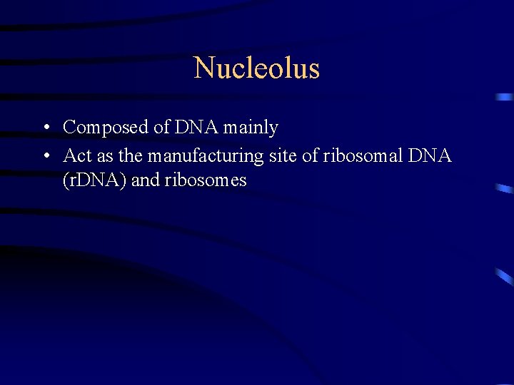 Nucleolus • Composed of DNA mainly • Act as the manufacturing site of ribosomal