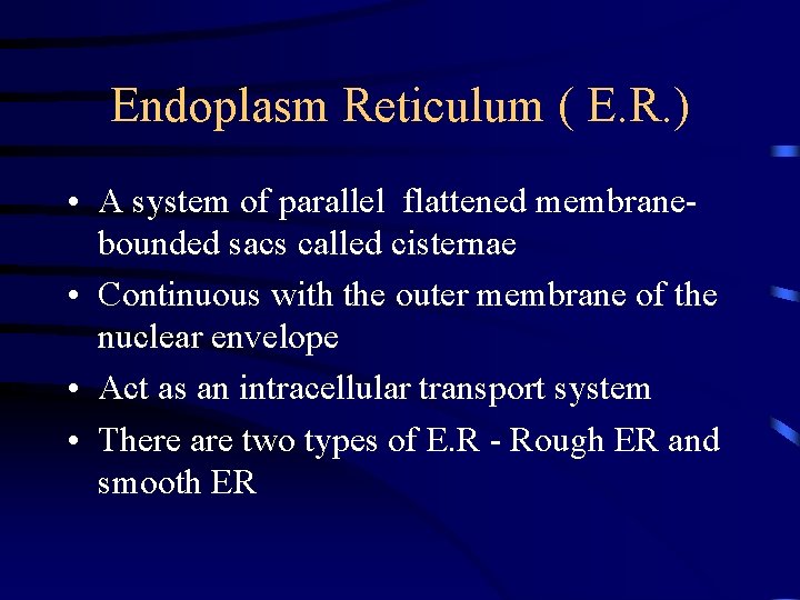 Endoplasm Reticulum ( E. R. ) • A system of parallel flattened membranebounded sacs