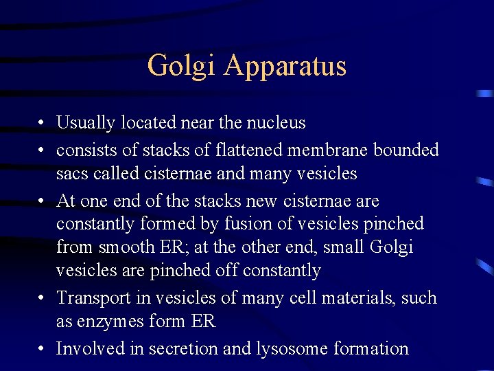 Golgi Apparatus • Usually located near the nucleus • consists of stacks of flattened