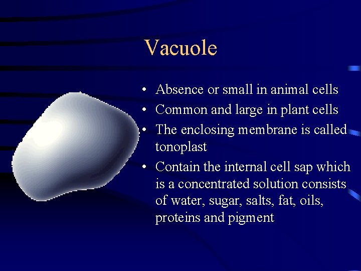 Vacuole • Absence or small in animal cells • Common and large in plant