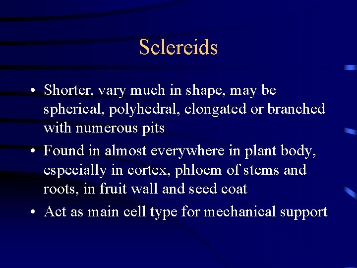 Sclereids • Shorter, vary much in shape, may be spherical, polyhedral, elongated or branched