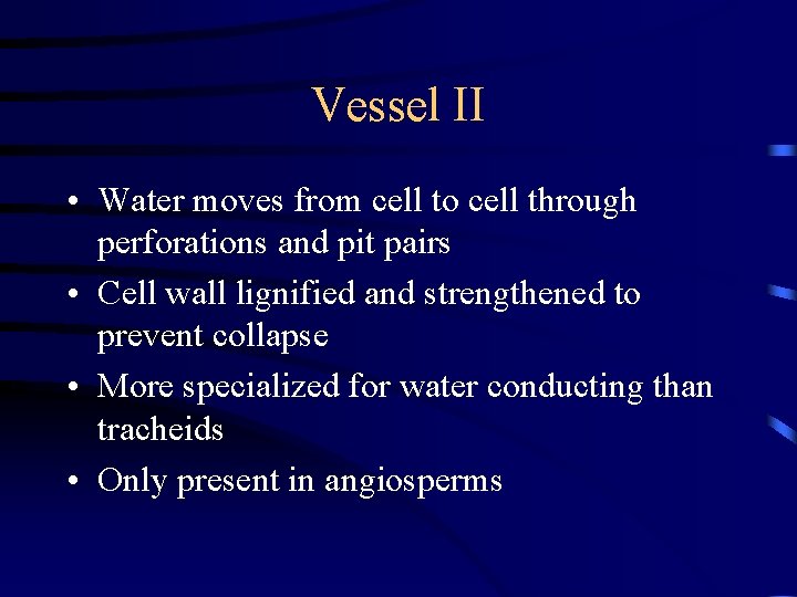 Vessel II • Water moves from cell to cell through perforations and pit pairs