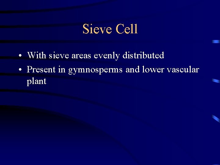 Sieve Cell • With sieve areas evenly distributed • Present in gymnosperms and lower