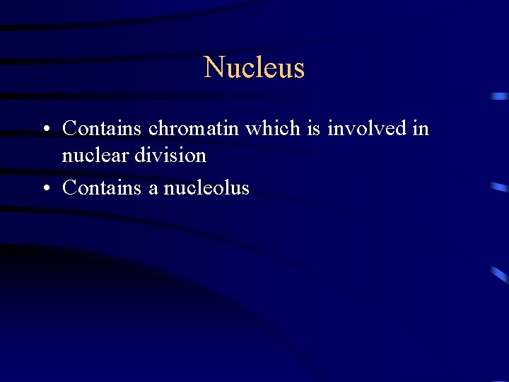 Nucleus • Contains chromatin which is involved in nuclear division • Contains a nucleolus