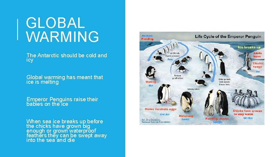 GLOBAL WARMING The Antarctic should be cold and icy Global warming has meant that