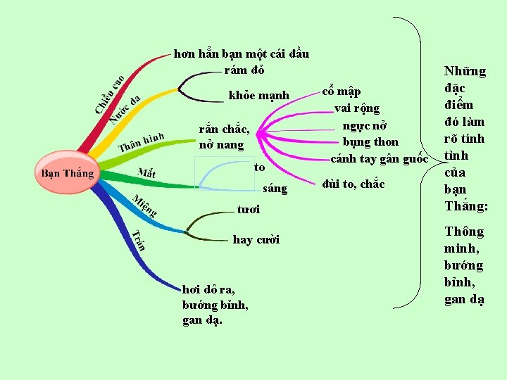 hơn hẳn bạn một cái đầu rám đỏ khỏe mạnh rắn chắc, nở nang