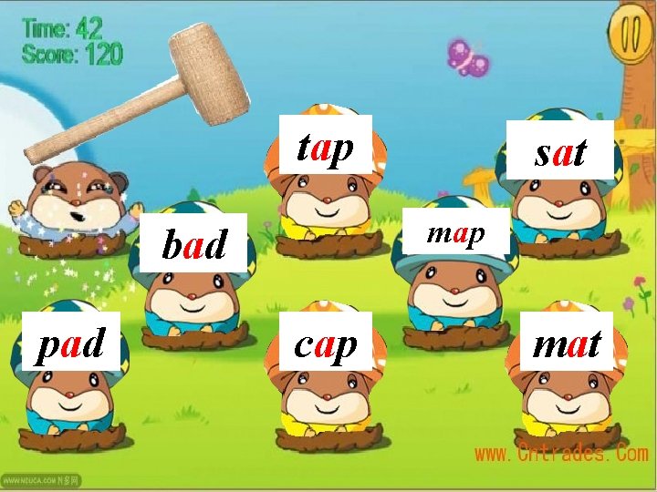 tap map bad pad sat cap mat 