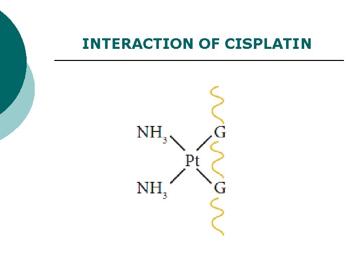 INTERACTION OF CISPLATIN 