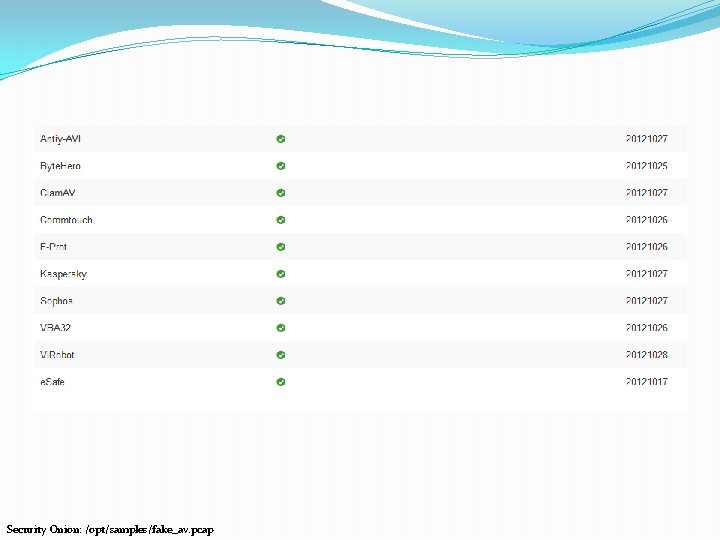 Security Onion: /opt/samples/fake_av. pcap 