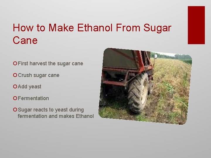 How to Make Ethanol From Sugar Cane ¡ First harvest the sugar cane ¡