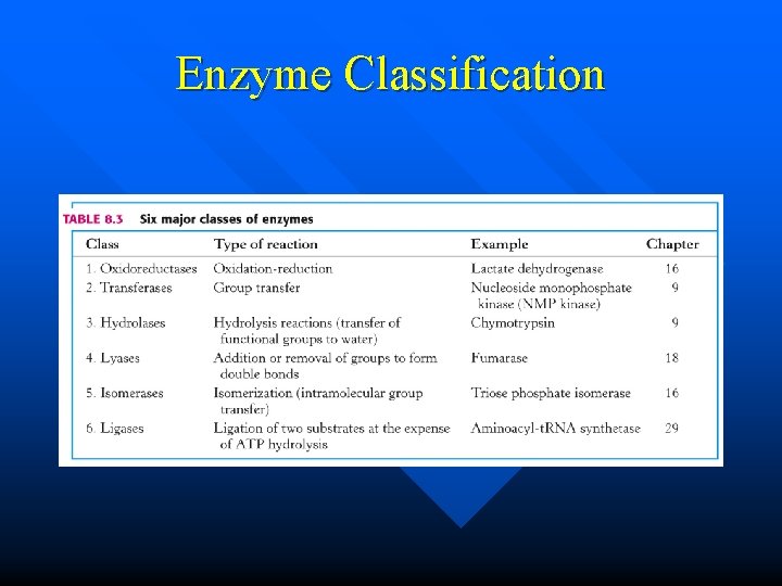 Enzyme Classification 