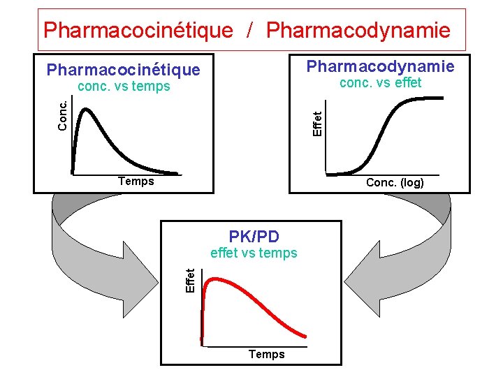 Pharmacocinétique / Pharmacodynamie Pharmacocinétique conc. vs effet conc. vs temps Effet Conc. 0. 4