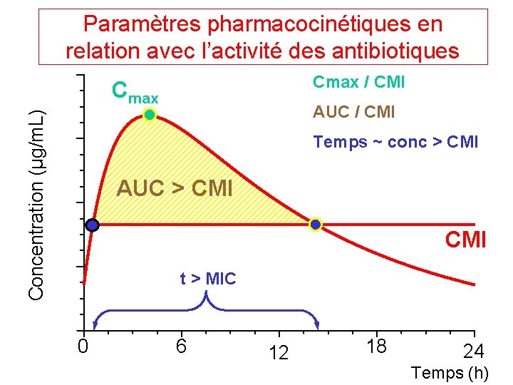 Paramètres pharmacocinétiques en relation avec l’activité des antibiotiques Cmax / CMI Concentration (µg/m. L)